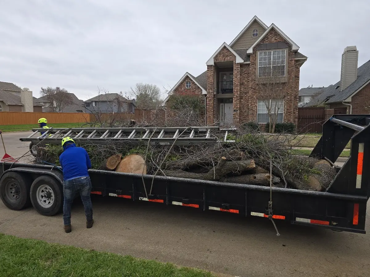 Expert Tree Fertilization with proper safety equipment in The Dalles